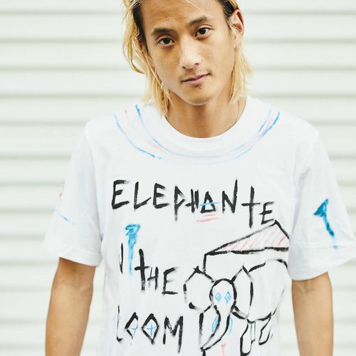 Elephante artist photo